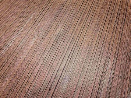 Timberland Property for sale in Grant County, Indiana