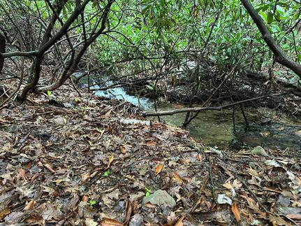 Undeveloped Land for sale in Monroe County, Pennsylvania