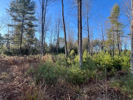 Farm and Ranch for sale in Sagadahoc County, Maine