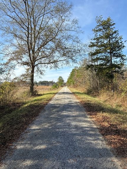 Land for sale in Kemper County, Mississippi