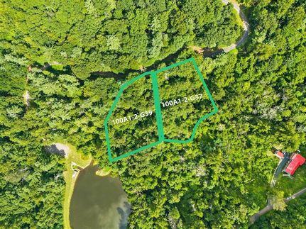 Undeveloped Land for sale in Page County, Virginia