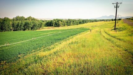 Timberland Property for sale in Park County, Montana
