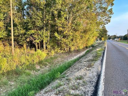 Undeveloped Land for sale in Ascension Parish, Louisiana