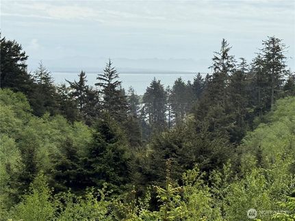Recreational Property for sale in Pacific County, Washington
