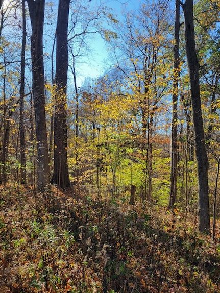 Commercial Property for sale in Putnam County, Indiana