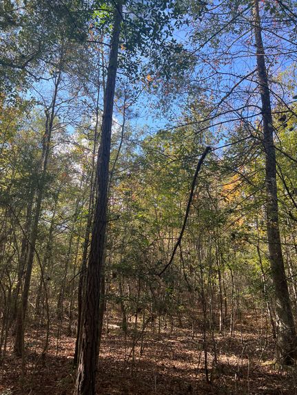 Timberland Property for sale in Hardin County, Texas