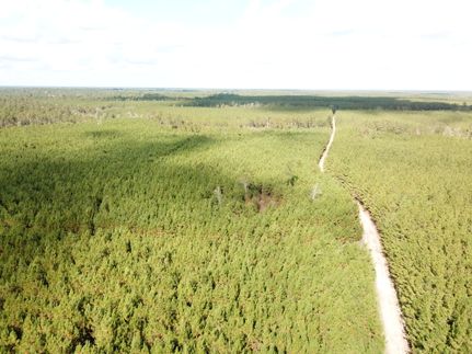 Land for sale in Hardin County, Texas