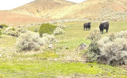 Farm and Ranch for sale in Pershing County, Nevada