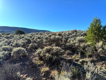Undeveloped Land in Costilla County, Colorado