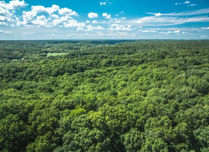 Land for sale in Miller County, Missouri