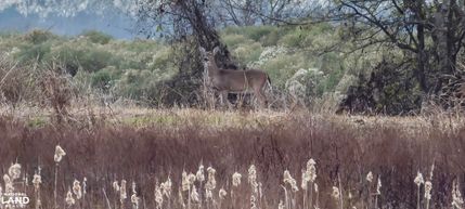 Farm and Ranch for sale in East Carroll Parish, Louisiana