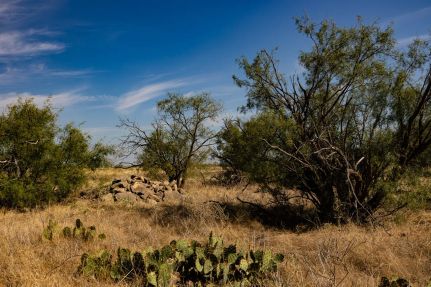 Land for sale in Callahan County, Texas