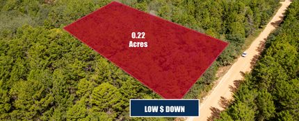 Land for sale in Putnam County, Florida