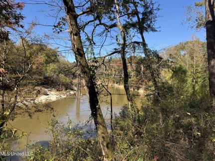 Land for sale in Rankin County, Mississippi