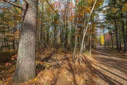 Farm and Ranch for sale in Vilas County, Wisconsin