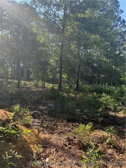 Farm and Ranch for sale in Moore County, North Carolina