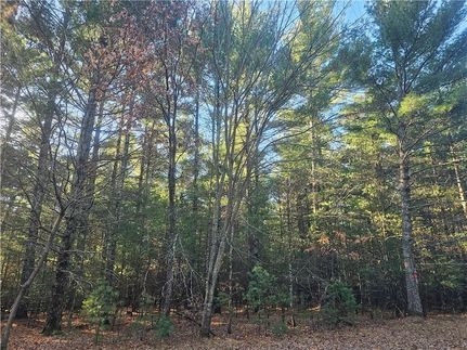 Farm and Ranch for sale in Burnett County, Wisconsin