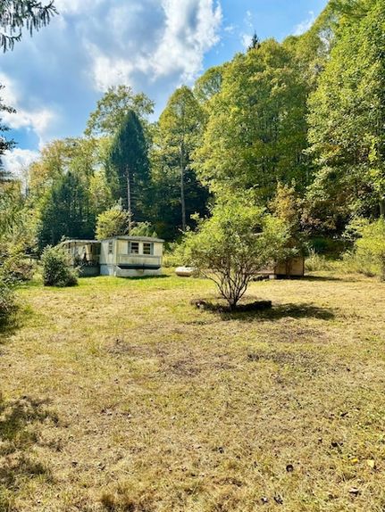 Undeveloped Land for sale in Nicholas County, West Virginia