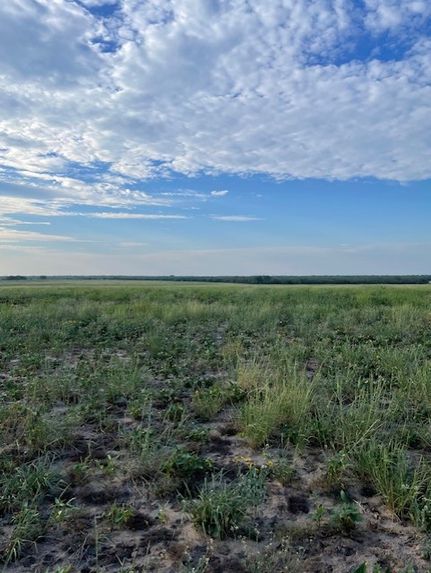 Farm and Ranch for sale in Duval County, Texas