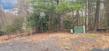 Timberland Property for sale in Greene County, New York