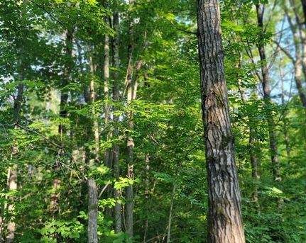 Recreational Property for sale in Sawyer County, Wisconsin