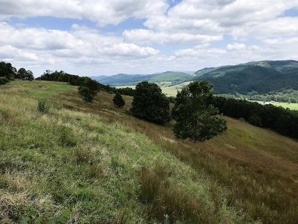 Land for sale in Highland County, Virginia