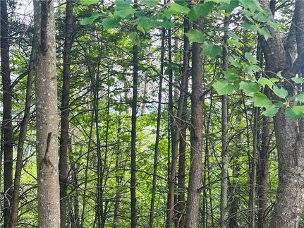 Timberland Property for sale in Lumpkin County, Georgia