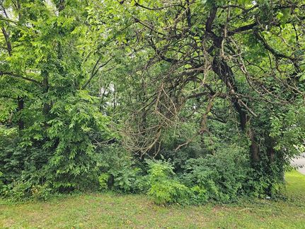 Timberland Property for sale in Anderson County, Kentucky