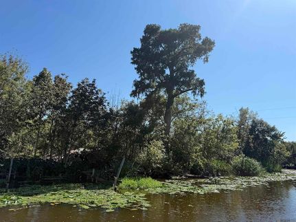 Undeveloped Land for sale in Livingston Parish, Louisiana