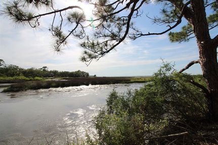 Hunting Property for sale in Franklin County, Florida