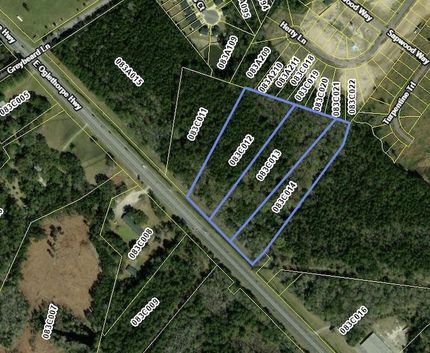 Undeveloped Land for sale in Liberty County, Georgia