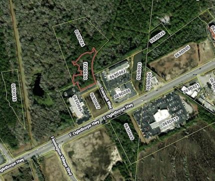 Timberland Property for sale in Liberty County, Georgia