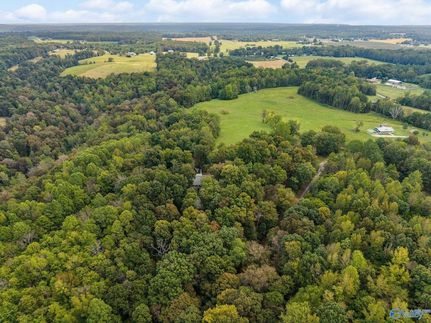 Undeveloped Land for sale in Limestone County, Alabama