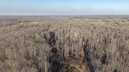 Undeveloped Land for sale in Dickson County, Tennessee