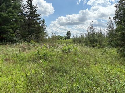 Timberland Property for sale in Barron County, Wisconsin