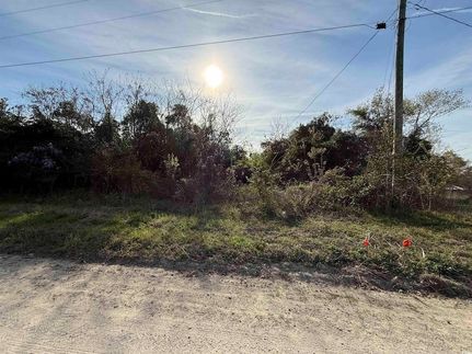 Land for sale in Marion County, South Carolina