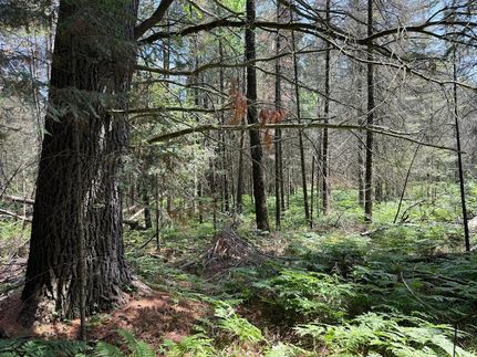 Farm and Ranch for sale in Oneida County, Wisconsin