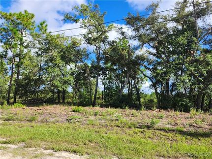 Homesite for sale in Citrus County, Florida