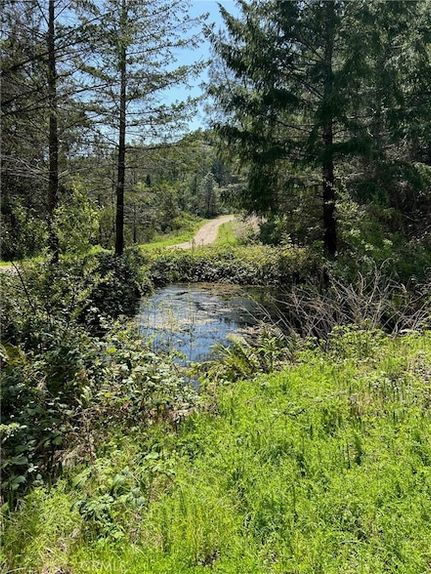 Farm and Ranch for sale in Lake County, California