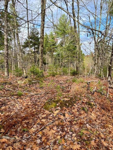 Recreational Property for sale in Hancock County, Maine