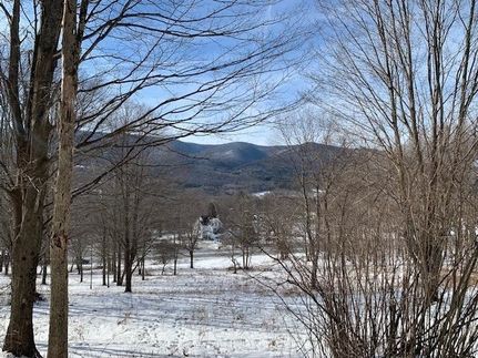 Undeveloped Land for sale in Bennington County, Vermont