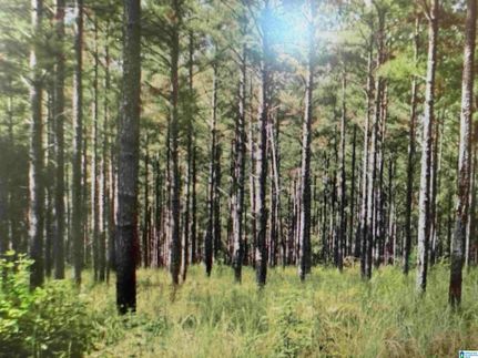 Undeveloped Land for sale in Jefferson County, Alabama
