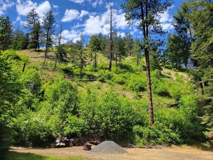 Undeveloped Land for sale in Columbia County, Washington