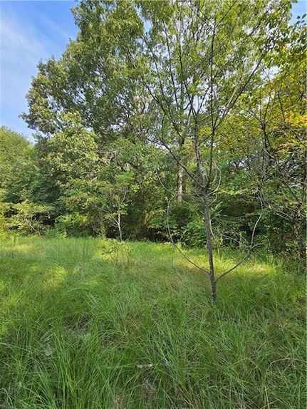 Horse Property for sale in Sabine Parish, Louisiana