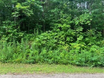 Undeveloped Land for sale in Saint Lawrence County, New York