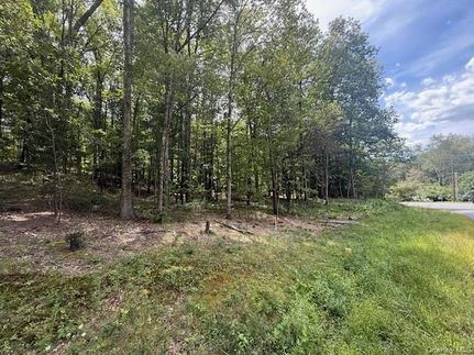 Timberland Property for sale in Orange County, New York