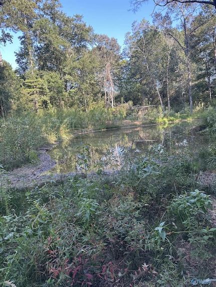 Farm and Ranch for sale in Calhoun County, Alabama