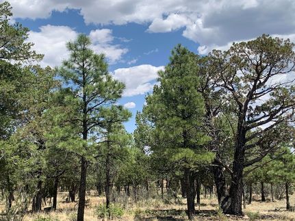 Recreational Property for sale in Coconino County, Arizona