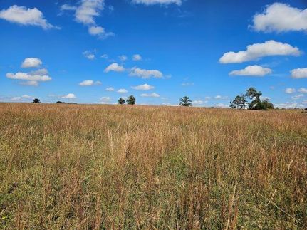 Timberland Property for sale in Wright County, Missouri