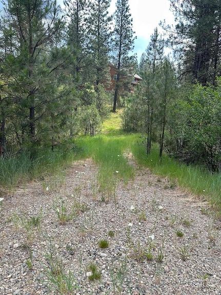 Timberland Property for sale in Boise County, Idaho